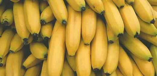 香蕉网国产,探索本土创意与产业的融合之路 第3张 香蕉网国产,探索本土创意与产业的融合之路 第3张