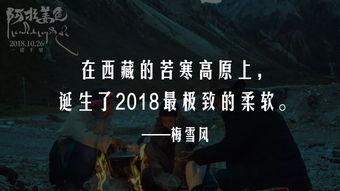 国产三级黄色毛片,暗流涌动的地下世界 第3张 国产三级黄色毛片,暗流涌动的地下世界 第3张