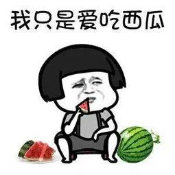 吃瓜群娱乐