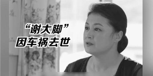 吃瓜娱乐圈的大番薯,番薯的瓜田奇遇记