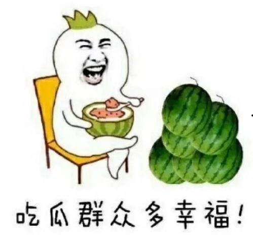 吃瓜娱乐圈的大番薯,番薯的瓜田奇遇记